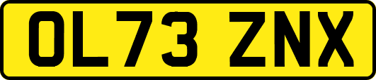 OL73ZNX