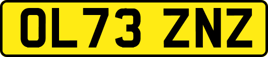 OL73ZNZ