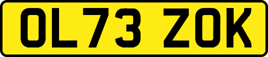 OL73ZOK