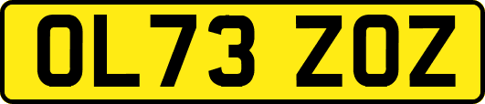 OL73ZOZ