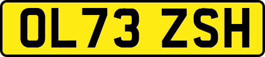 OL73ZSH