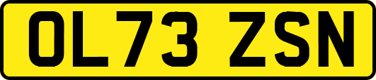 OL73ZSN