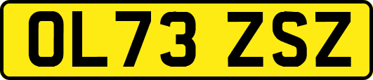 OL73ZSZ