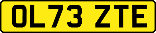 OL73ZTE