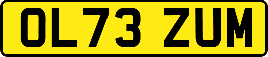 OL73ZUM