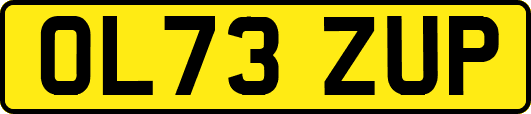 OL73ZUP