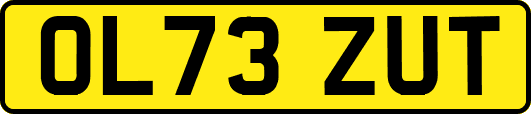 OL73ZUT