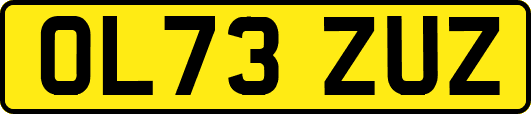 OL73ZUZ