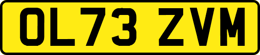 OL73ZVM