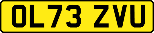 OL73ZVU