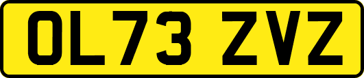 OL73ZVZ