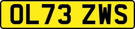 OL73ZWS