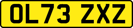OL73ZXZ