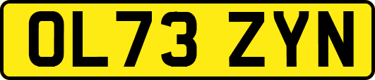 OL73ZYN
