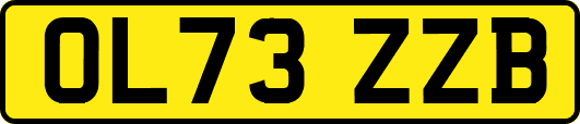 OL73ZZB