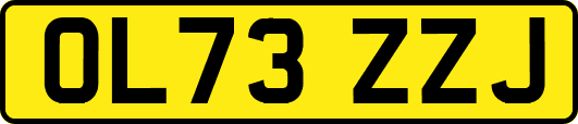 OL73ZZJ