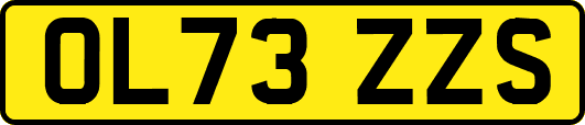 OL73ZZS