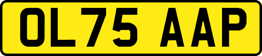 OL75AAP