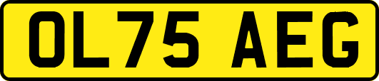 OL75AEG