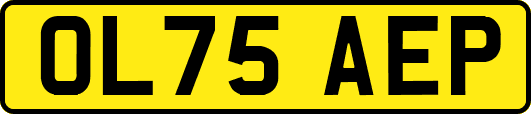 OL75AEP