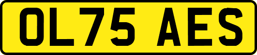 OL75AES