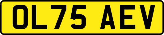 OL75AEV