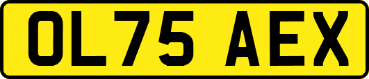 OL75AEX