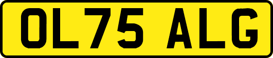 OL75ALG