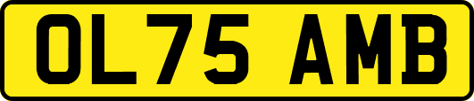OL75AMB