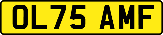 OL75AMF