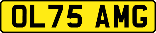 OL75AMG