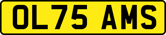 OL75AMS