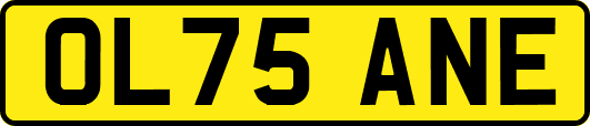 OL75ANE