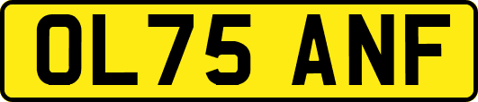 OL75ANF