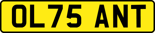 OL75ANT