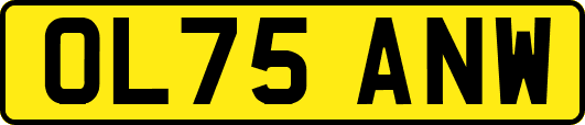 OL75ANW