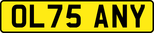 OL75ANY