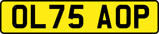 OL75AOP