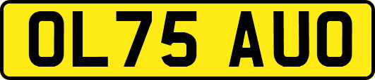 OL75AUO