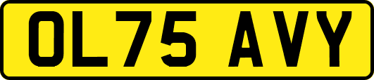 OL75AVY