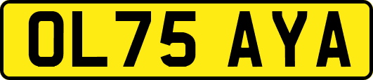 OL75AYA