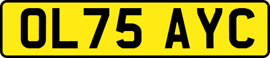OL75AYC