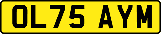 OL75AYM