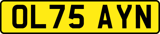 OL75AYN
