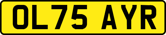 OL75AYR
