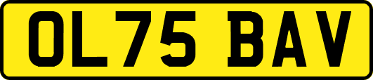 OL75BAV