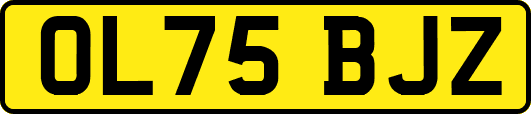 OL75BJZ