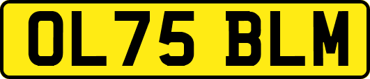 OL75BLM