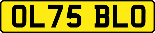OL75BLO