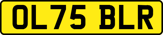 OL75BLR